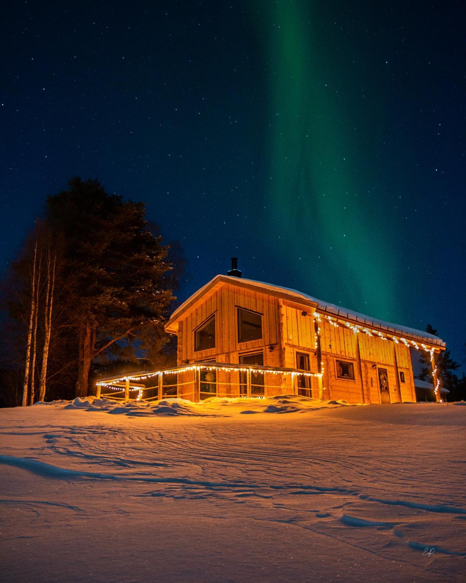 Blueberry Lodge 5 Personnes Mjolan Exterior photo