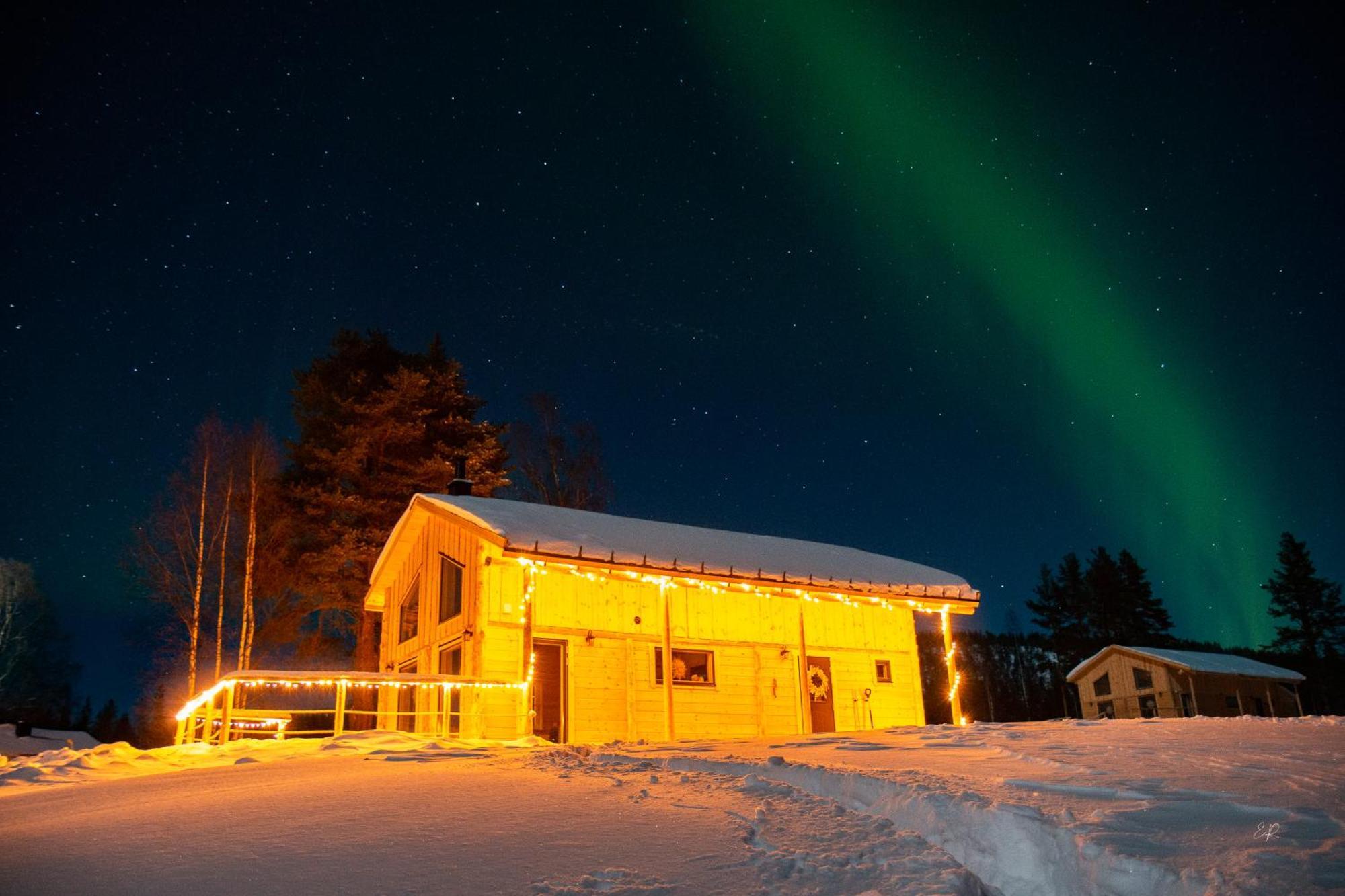 Blueberry Lodge 5 Personnes Mjolan Exterior photo